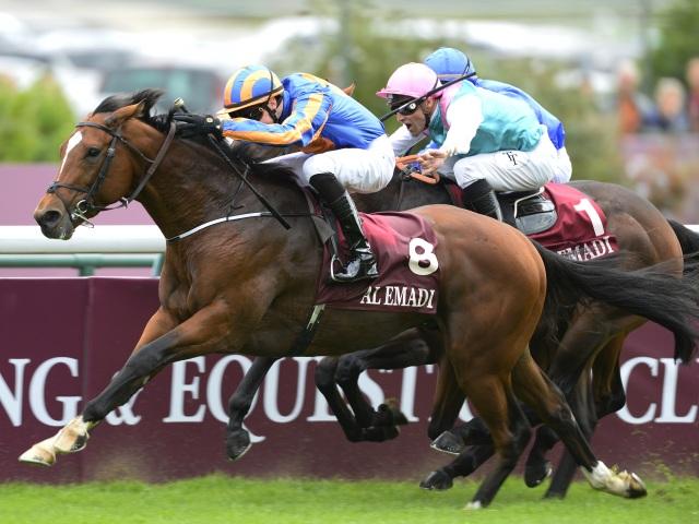 Gleneagles, pictured here at Longchamp, should go well, according to Ryan